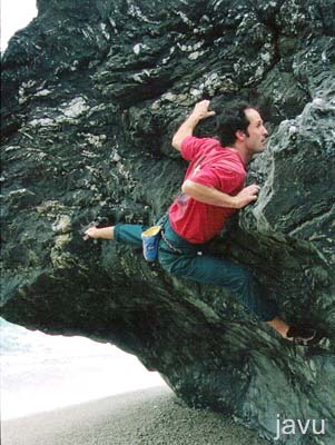Mark Reeves at Great Mattiscombe